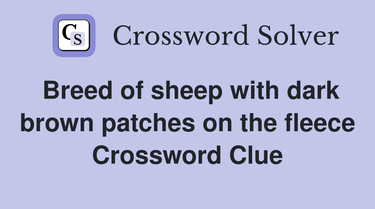 Breed of sheep with dark brown patches on the fleece Crossword Clue